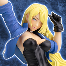 DC COMICS美少女 ブラックキャナリー 限定版【コトブキヤショップ限定品】